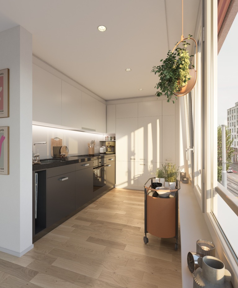 Birmensdorferstrasse - Schaeppi Grundstücke AG